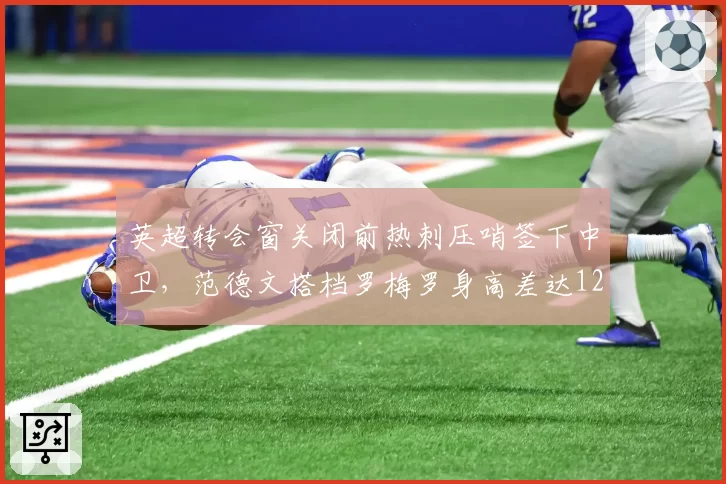 英超转会窗关闭前热刺压哨签下中卫,范德文搭档罗梅罗身高差达12厘米